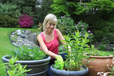 Kvinder der planter i sine krukker til haven